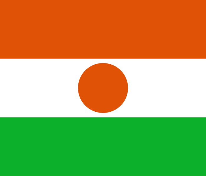 File:Niggerflag.png