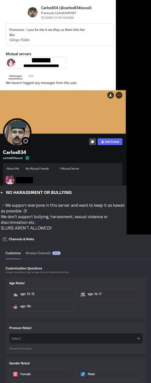 Carlos discord.png