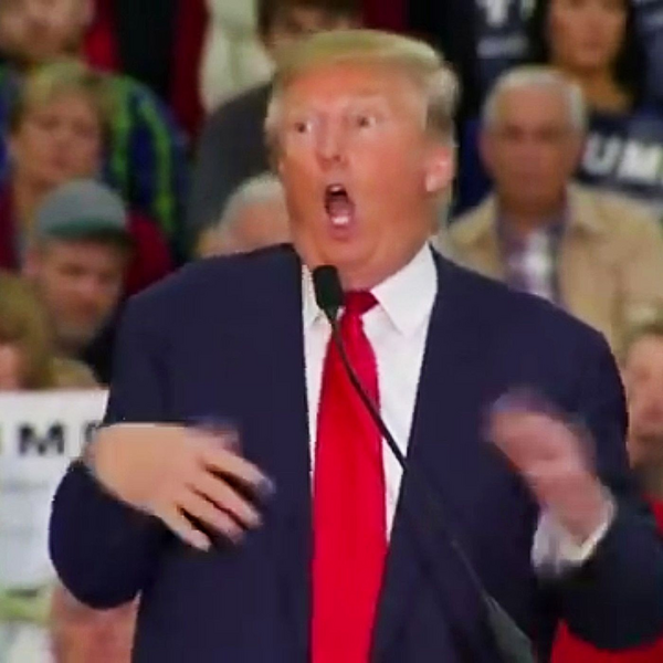 File:Donald Trump.png
