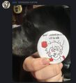 Evee shows a picture of his dog alongside a medal that says he goons to furry cub porn