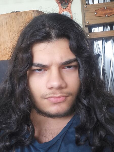 File:Brazilian monarchist.jpg