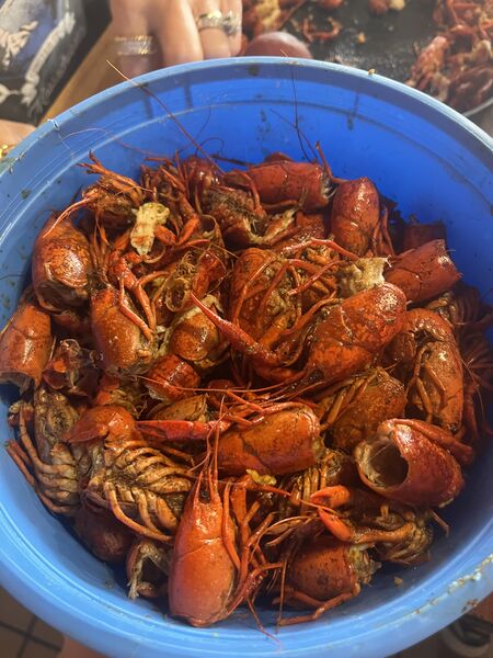 File:4963CRAWFISH .jpg