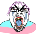 >WHAT DO YOU MEAN THOSE SOY WOAH JAQUES ARE HECKIN RAYCIST ALT RIGHT DOG WHISTLES?!