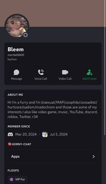 File:Bleem description cord.jpeg