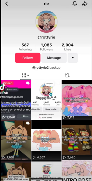 File:Ryepedoaccount.png