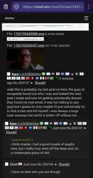 Chinny Kara meltdown.jpg