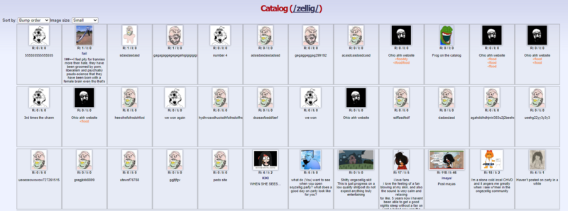 File:-zellig- raided.png