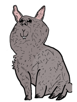 Impish bunny.png