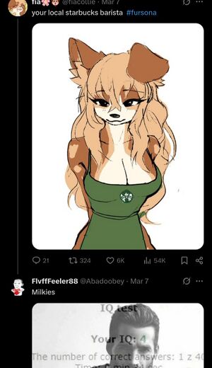 Screenshot 20250626 135309 Brave.jpg